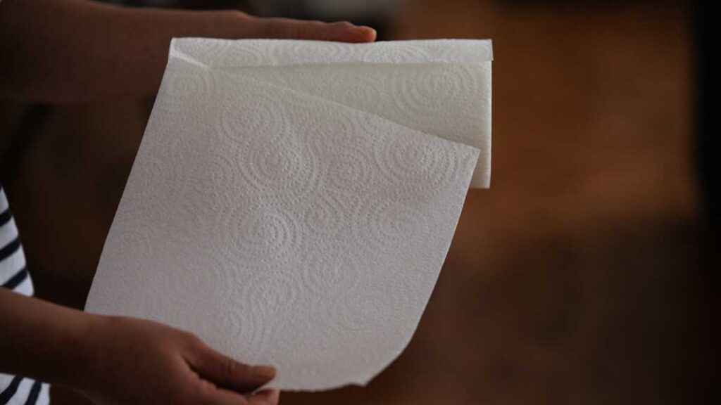 Papel Toalha Interfolha