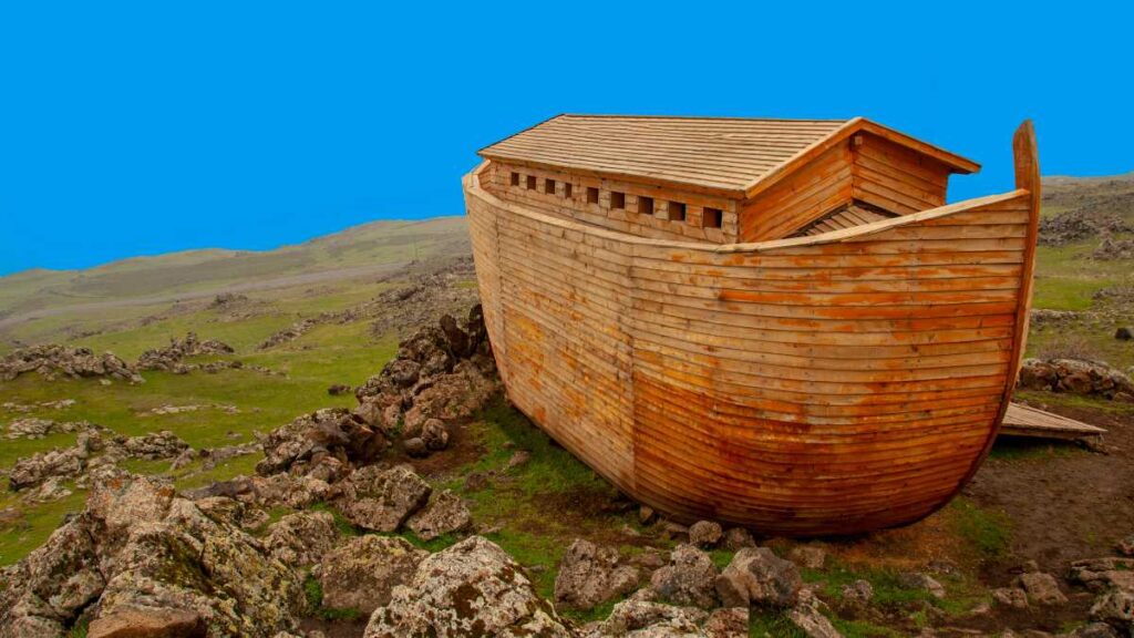 Fundo Arca de Noé: O que é e como funciona