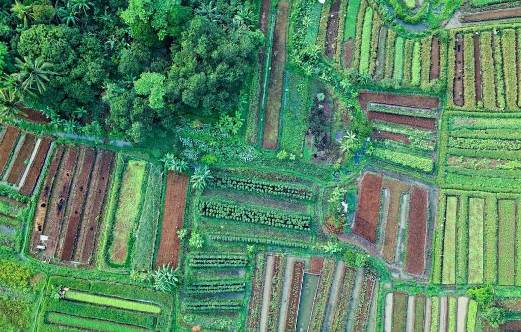 Terraplanagem Processo Vital na Preparação de Terrenos para Construção