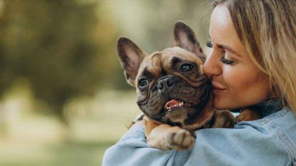 Por que alguns alimentos são perigosos para os animais de estimação